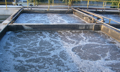 Jinding Meat Products Wastewater Treatment