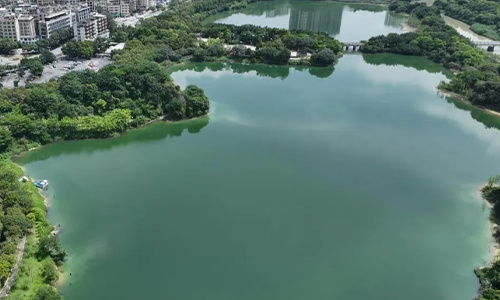 Huadu Lake Ecological Restoration