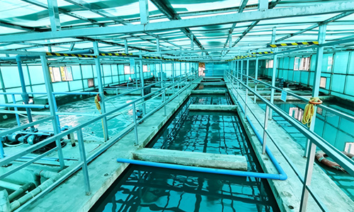 Liby Wastewater Treatment
