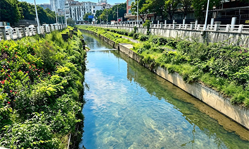 Baiyun Key River-Lake Water Ecological Improvement